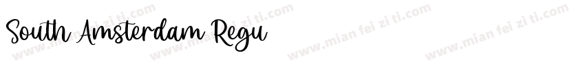 South Amsterdam Regu字体转换
